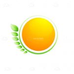 Orange Circle With Green Surrounding and Abstract Leaves